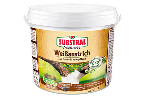 Baumpflege – gesunde Bäume durch richtige...