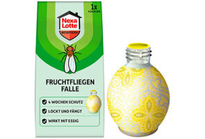 Fruchtfliegenfallen