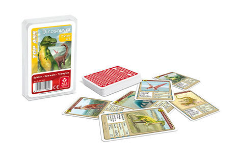 Kartenspiele