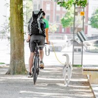 relaxdays Hundeleine fürs Fahrrad silber 21,5 x 5,0 x 47,0 cm