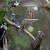 relaxdays Vogelfutterspender silber 20,0 x 20,0 x 172,0 cm