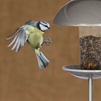 relaxdays Vogelfutterspender silber 20,0 x 20,0 x 172,0 cm
