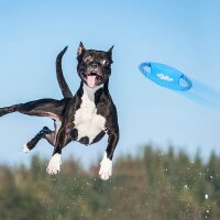 10 relaxdays Hundespielzeug-Set mehrfarbig