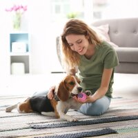 10 relaxdays Hundespielzeug-Set mehrfarbig