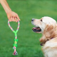 10 relaxdays Hundespielzeug-Set mehrfarbig