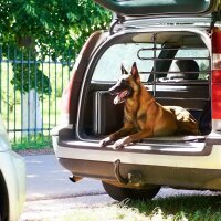 relaxdays Hundegitter Auto schwarz
