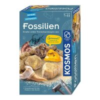 KOSMOS Ausgrabungsset Fossilien mehrfarbig