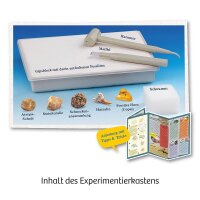 KOSMOS Ausgrabungsset Fossilien mehrfarbig