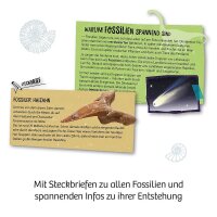 KOSMOS Ausgrabungsset Fossilien mehrfarbig