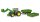 bruder 7R John Deere 350 Traktor mit Frontlader und Tandemachstransportanhänger 3155 Spielzeugauto