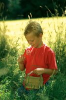HAPPY PEOPLE® Insektenhotel Scout Insektenhaus...