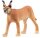 Schleich® Wild Life 14867 Karakal Weibchen Spielfigur
