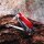 VICTORINOX Schweizer Taschenmesser Swiss Champ rot, 1 St.