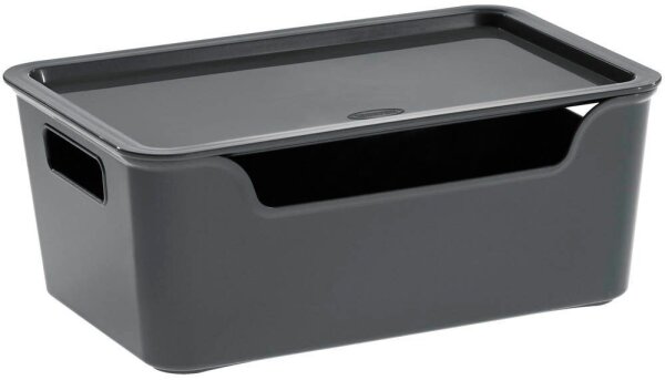 cep Bella Aufbewahrungsbox 4,22 l grau 18,0 x 28,0 x 11,0 cm, 1 St.