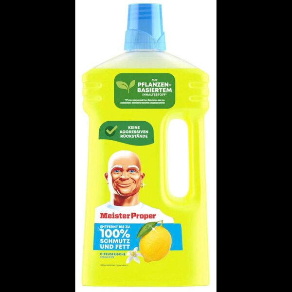 Meister Proper 100 % Schmutz und Fett Allzweckreiniger 1,00 l