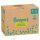Pampers® Windeln Monatsbox premium protection™ Größe Gr.5 (11-16 kg) für Babys u
