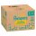 Pampers® Windeln Monatsbox premium protection™ Gr. 1 (2-5 kg) für Neugeborene, 180 St.