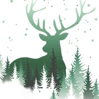 SIGEL Weihnachtsbriefpapier Christmas Forest Motiv DIN A4...