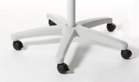 DAHLE Flipchart Team 76-96003-11893