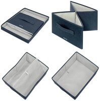 LEITZ Aufbewahrungsboxen grau 28,5 x 38,0 x 20,3 cm, 2 St.