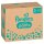 Pampers® Windeln baby-dry™ Monatsbox Gr. 5 (12-17 kg) für Babys und Kleinkinder, 160 St.