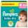Pampers® Windeln baby-dry™ Monatsbox Gr. 4 (9-14 kg) für Babys und Kleinkinder, 204 St.