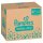 Pampers® Windeln baby-dry™ Monatsbox Größe Gr.4 (10-15 kg) für Babys und Kleinki