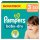 Pampers® Windeln baby-dry™ Monatsbox Gr. 3 (6-10 kg) für Babys und Kleinkinder, 222 St.