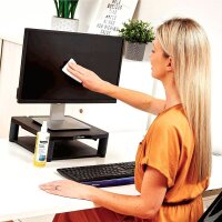 Fellowes Bildschirm Reinigungsspray 250 ml, 1 St.