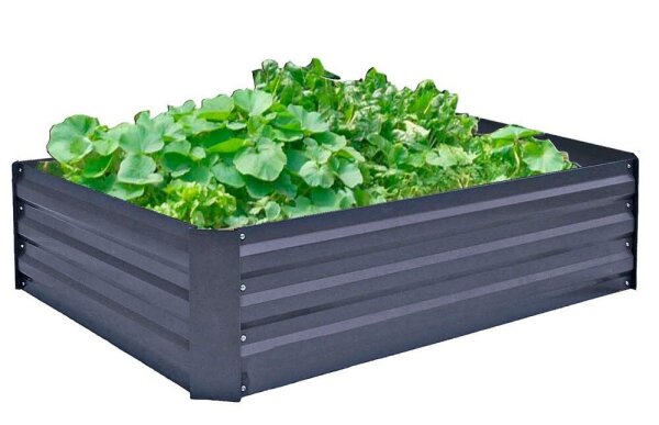 Garden Pleasure Frühbeet BOTANIKA Metall anthrazit rechteckig  120,0 x 90,0 x 30,0 cm, 1 St.