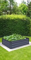 Garden Pleasure Frühbeet BOTANIKA Metall anthrazit rechteckig  120,0 x 90,0 x 30,0 cm, 1 St.