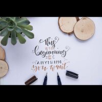 Tombow Fudenosuke Brush-Pens farbsortiert, 1 Set