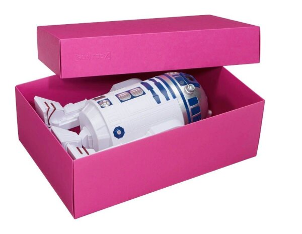 BUNTBOX XL Geschenkboxen 8,6 l pink 34,0 x 22,0 x 11,5 cm