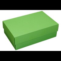BUNTBOX XL Geschenkboxen 8,6 l grün 34,0 x 22,0 x...