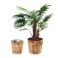 relaxdays Pflanzkübel-Set Holz, Ø 24,0/19,0...