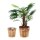 relaxdays Pflanzkübel-Set Holz, Ø 24,0/19,0 cm braun, 2 St.