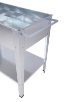 Garden Pleasure Hochbeet MARIEGOLD Metall silber rechteckig 52,0 x 110,0 x 81,0 cm, 1 St.