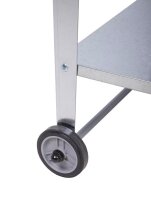Garden Pleasure Hochbeet MARIEGOLD Metall silber rechteckig 52,0 x 110,0 x 81,0 cm, 1 St.