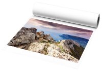 dots Plotterpapier Foto Glossy 200 g/qm 610,0 mm x 30,0 m