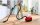 BOSCH Serie 4 BGD38RD1H Staubsauger 600 W