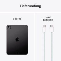 Apple iPad Pro (M4) (2024) Wi-Fi 27,9 cm (11,0 Zoll) 2 TB space schwarz