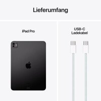 Apple iPad Pro 5.Gen (2024) 5G 27,9 cm (11,0 Zoll) 2 TB space schwarz