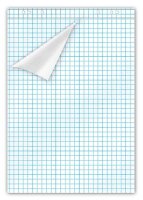 Flipchart-Papier kariert 67,5 x 98,0 cm, 20 Blatt, 5 Blöcke