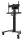 Neomounts TV-Halterung AV2-500BL schwarz