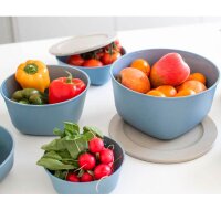koziol Frischhaltedose Connect 6,5 cm hoch blau 0,7 l, 1 St.