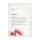 SIGEL Weihnachtsbriefpapier Winter Flair Motiv DIN A4 90 g/qm 100 Blatt