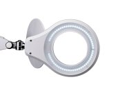 MAUL MAULsource LED Lupenleuchte weiß 8 W mit Tischklemme
