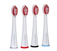 Genius Genius Dental Hydro Fusion Intensiv/Standard...
