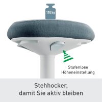 LEITZ Sitz- & Stehhocker Ergo Active 65450085 grau, 1 St.