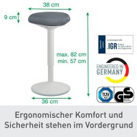 LEITZ Sitz- & Stehhocker Ergo Active 65450085 grau, 1 St.